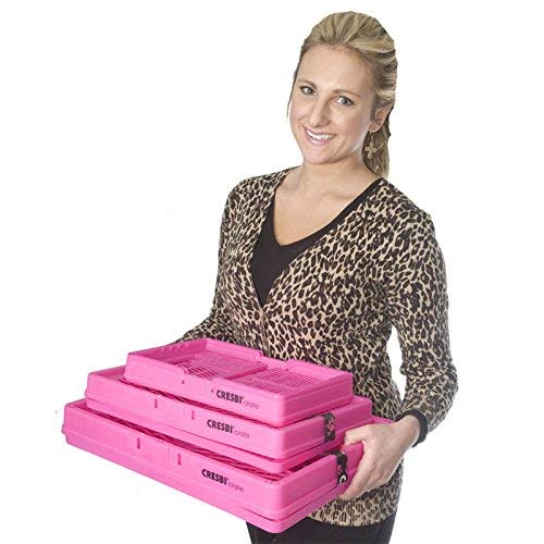 CRESBI Nested Collapsible Plastic Storage Crate Container Baskets (Pink)